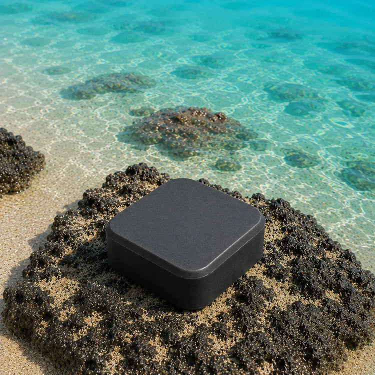 Salt & Timber | Certified Grass Fed Tallow Shampoo Bar Blind Pirate Soap Co.
