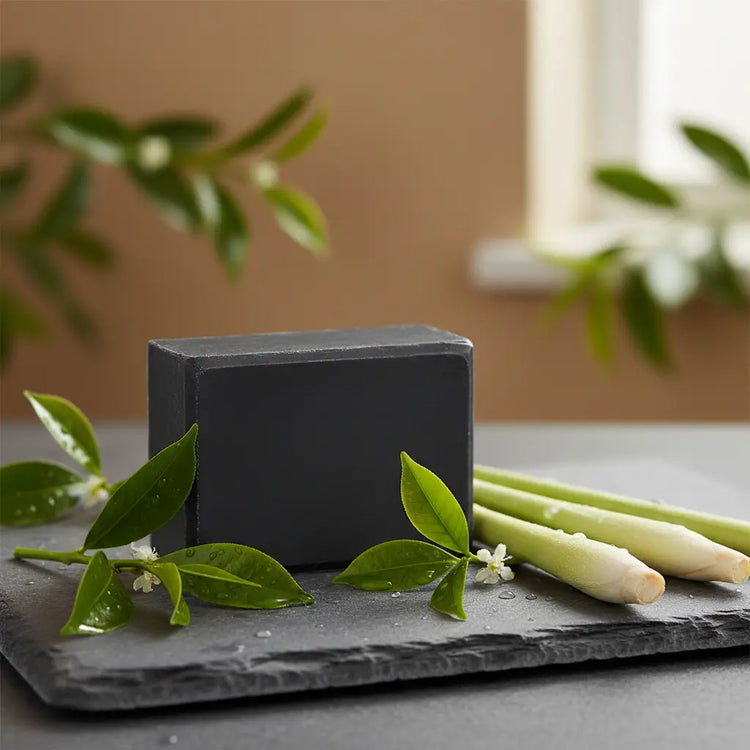 Charcoal Tea Tree Soap Bar on stone