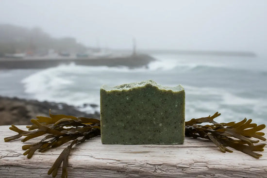 Rich green sea salt soap bar on weathered wood with ocean waves and kelp seaweed, coastal harbour scene