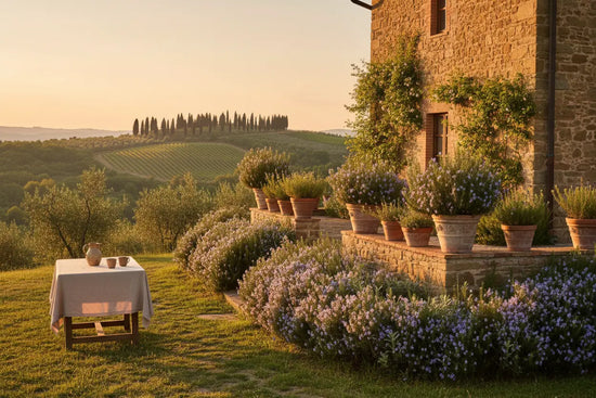 Tuscan Mood a great place to enjoy Blind Pirate Soap handmade beard balm.