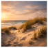 Golden hour over COASTAL sand dunes — wild dune grass catching warm sunset light, open ocean beyond, Blind Pirate Soap Co.
